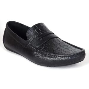 Ajanta men loafers