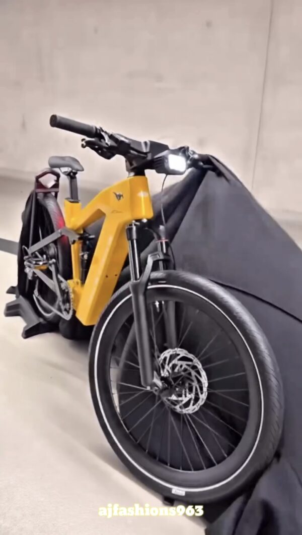 Electric cycle
