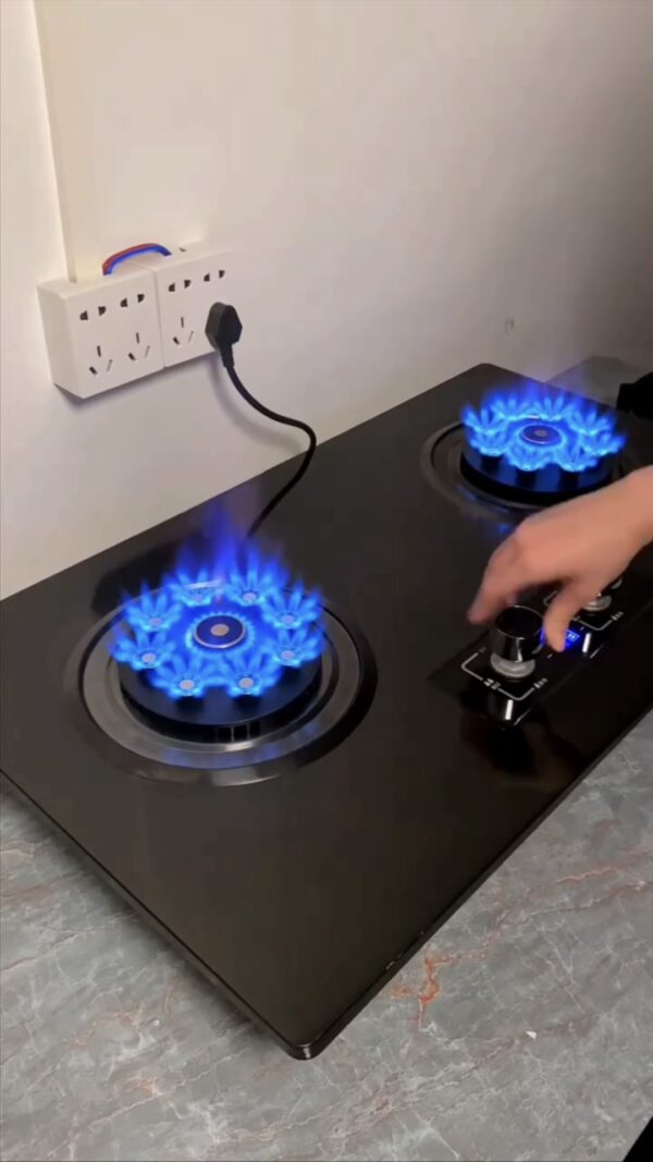 Electric gas stove